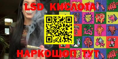 apvp Канаш