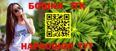 spice Камышлов