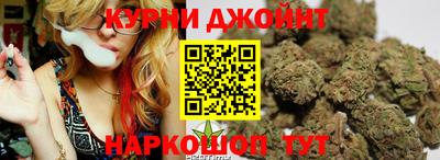 apvp Канаш