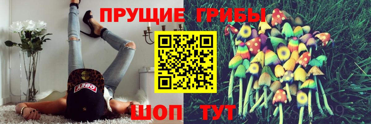 Галлюциногенные грибы прущие грибы Ливны